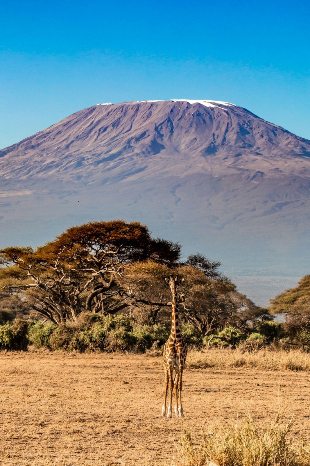 Kenya Residents — Weekend Rates